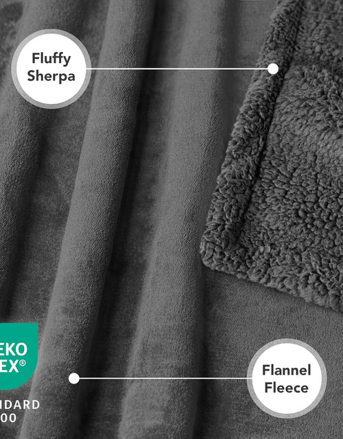 Load image into Gallery viewer, Puppy Dog Blanket | Pet Blanket Small Dog Indoor Cat Kitten | Fleece Sherpa Throw Doggy Blanket Crate Couch Sofa Bed | Soft Plush Fuzzy Fluffy Lightweight Warm Cover, 29X40
